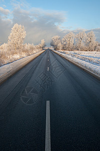 冬季公路蓝色运输旅行森林场景风景天气太阳沥青国家美丽高清图片素材
