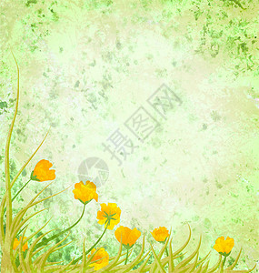 黄色花朵的浅绿色绿插图高清图片