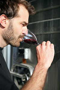 人饮酒质量酿酒师红色地窖男人品尝者制作人肩膀玻璃检查背景图片