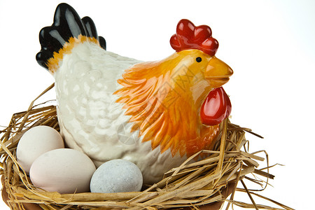 受精蛋母鸡蛋尼斯陶瓷鸡蛋和东面鸡蛋背景