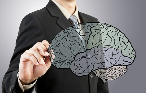 商界人士绘制人类脑图力量科学天才智力学习生活小脑学生快乐大脑白板高清图片素材
