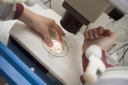 精子和卵子诊所胚胎学图片素材