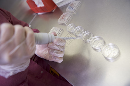胚胎学医疗的实验室工作人员高清图片