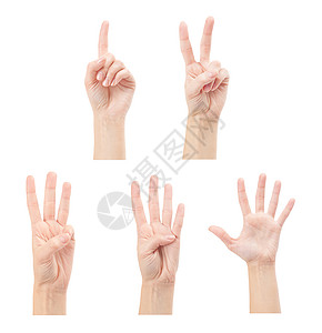 5个手指素材以白色背景隔离的手数妇女1至5人学校男人学习帮助拇指女士数字数数手指棕榈背景