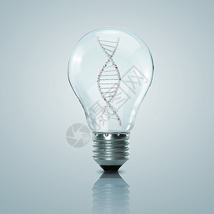 DNA里面的脱氧核糖核酸灯泡高分子药品蓝色核苷酸细胞基因组技术生活微生物学化学背景图片