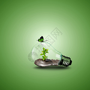 灯泡玻璃容器电灯泡和里面的植物生态环境资源发明行星技术活力创新力量玻璃背景