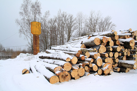 冬季雪上堆积的木柴高清图片