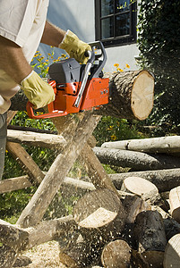 链锯锯末树干樵夫森林灰尘工匠皮革男性林业木头背景图片