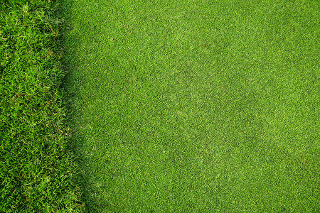 草草地地面高尔夫球绿色背景图片