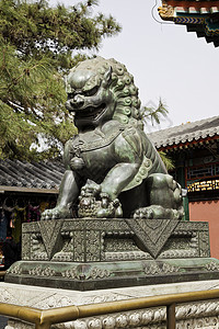 夏季宫殿的狮子雕像背景图片