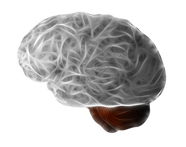 大脑和脑机能高清图片