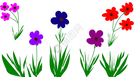 花朵植物学植物明信片插图背景图片