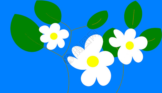 三个菊花装饰风格残像花朵植物背景图片