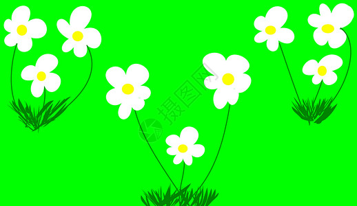 装饰动物群风格植物群雏菊插图背景图片