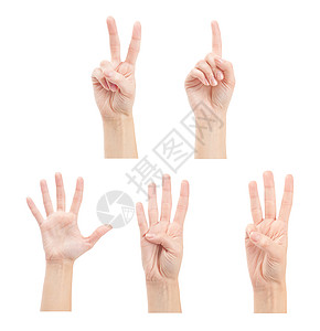 三手指素材以白色背景隔离的手数妇女1至5人女孩拇指数数学习教育收藏手势数学帮助手指背景