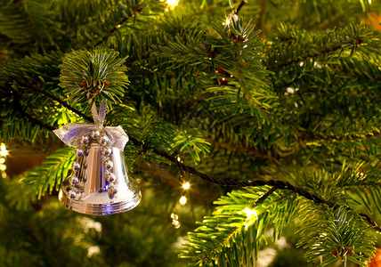 常绿冷杉圣诞节钟声挂在圣诞树上庆典顺口溜装饰品卡片插图紫色丝带叶子金子装饰背景