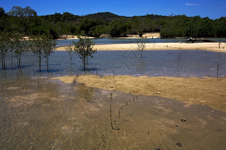 高鼻子和马莫科山及海岸线高清图片