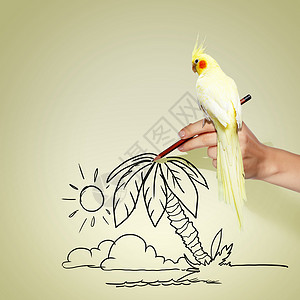 鹦鹉画坐在手边的鹦鹉热带曲线草图书法装饰品手绘墙纸风格绘画卡通片背景