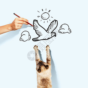 猫画西亚马猫爪子食物艺术动物卡通片野生动物游戏财富毛皮哺乳动物背景