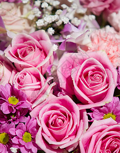 玫瑰花混合花束花瓣粉色玫瑰婚姻婚礼美丽红色背景图片