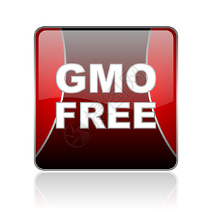 gmo 免费红方网站光亮图标钥匙正方形食物玉米控制环境质量标识饮食互联网背景