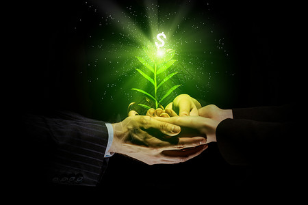 亲手发芽商业利润制作金融货币订金投资收益生态经济改变高清图片素材