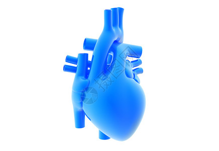 人类的心脏静脉中庭药品身体保健速度考试测试锻炼病人高清图片
