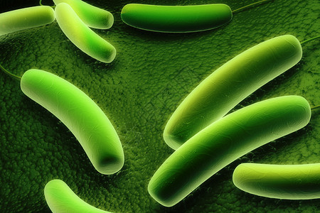 芽孢杆菌科性细菌显微镜科学感染小宇宙疾病身体电子生物学插图细胞背景