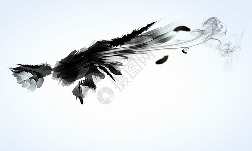 羽毛黑色黑翅膀齿轮侵略阴影飞行航班仙境黑暗标签羽毛鸽子背景