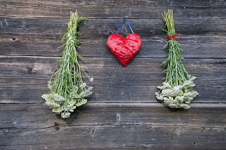 红心和药用植物 阿基里拉千叶 墙上常见的草药高清图片