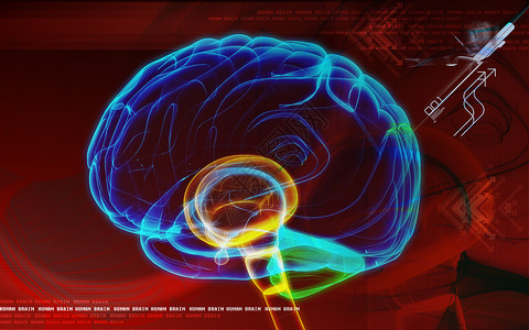 大脑脑插图想像力延髓技术小脑器官脊髓下丘脑医疗丘脑背景图片