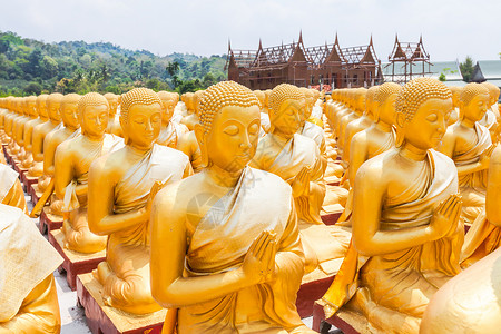 佛祖纪念公园的金芽新手大法会宗教纪念碑上帝建筑学金子冥想信仰旅游背景图片