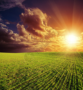 绿地和红日落天空日落地平线国家爬坡蓝色环境橙子草地季节阴影高清图片素材