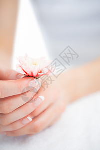 千与千寻油屋法国牵着花朵的修油手护理治疗温泉美容美甲手指美容院手指甲指甲身体背景