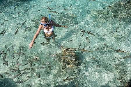 素材库九鱼图热带环礁湖中女孩与鱼一起在上浮带钓鱼背景