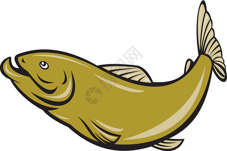 红烧鲶鱼卡通鳟鱼跳跃边海洋生物卡通片插图设计图片