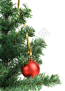 常绿冷杉圣诞舞会和绿树枝活力闪光绿色红色季节松树白色玻璃装饰假期背景