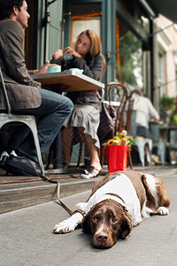 咖啡馆的一对小情侣在人行道上躺着狗高清图片