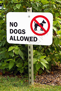 禁毒警告标志无允许的狗标志背景