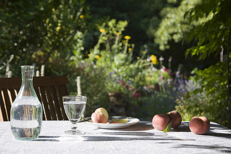 桃子水特写花园桌边的桃子 幕后有模糊的植物阴影桌子水果农村生长盘子餐具午餐玻璃食物背景