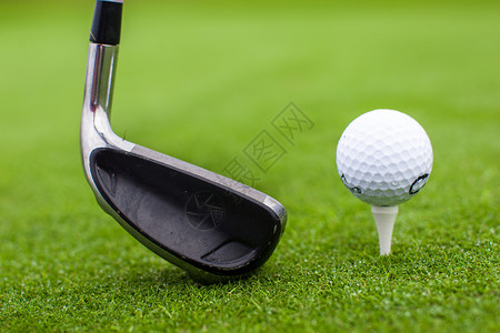 Golf Tee 球俱乐部绿色草草道驾驶员背景图片