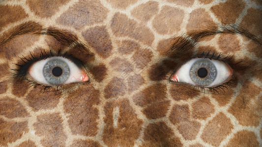 长颈鹿妇女妇女眼 近视鸢尾花白色眼睛荒野动物反射眼球睫毛女性宏观背景