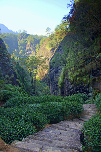 武夷山场地乡村的图片素材