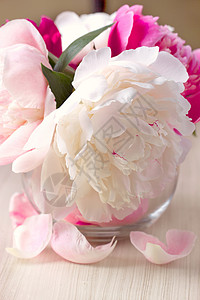 粉色牡丹花瓣花瓶中的小桃花园艺花园绘画生日花瓣紫色介子玫瑰叶子花束背景