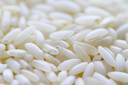 原白稻背景宏白米宏观健康营养食物饮食背景图片