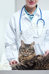 女人和猫兽医和猫专用保健医学医药医疗医生宠物女子医护人员磨砂膏背景