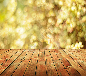 空表格照相馆森林剪辑厨房叶子圆圈背景阳台橙子地面背景图片