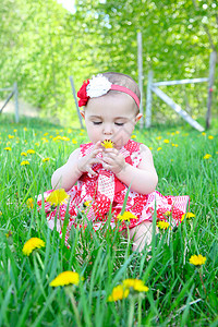 聚力前行春季婴儿专注黑发花朵场地晴天草地童年阳光孩子植物背景