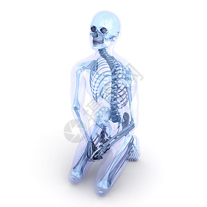 坐姿解剖学科学口才姿势身体柱子考试男性皮肤骨科生物学背景