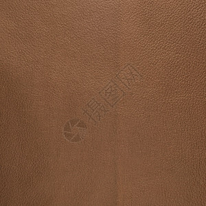 棕色皮革衣服艺术宏观动物皮肤质量奶牛材料背景图片